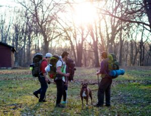 Nepal bans solo trekking for foreigners from April